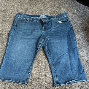 Lane Bryant Blue Ankle Jeans